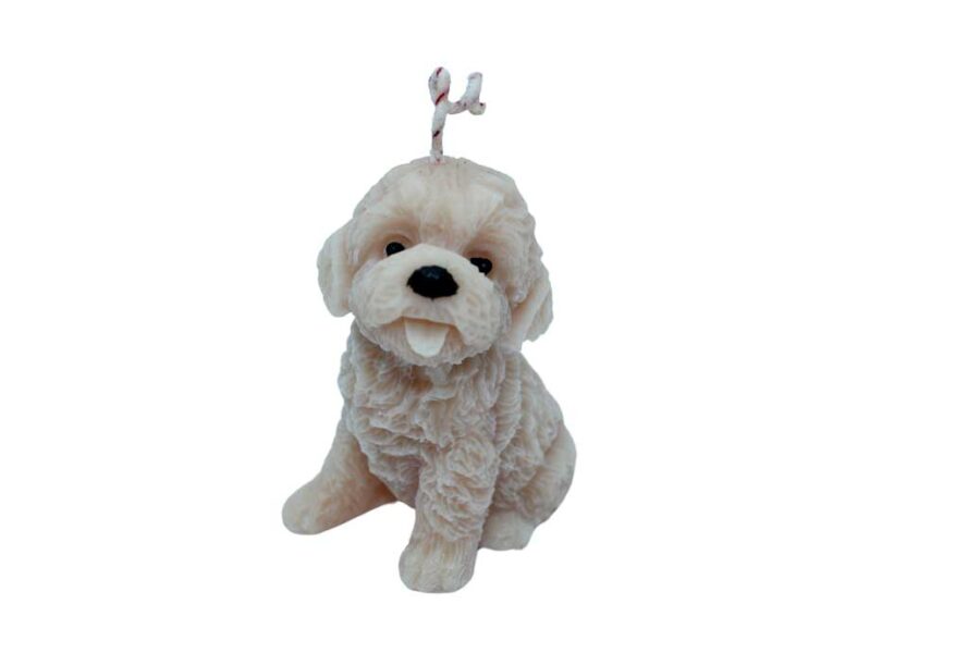 Perrito