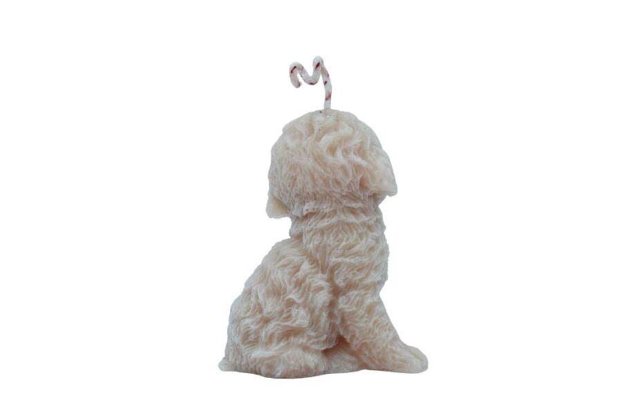 Perrito - Imagen 4