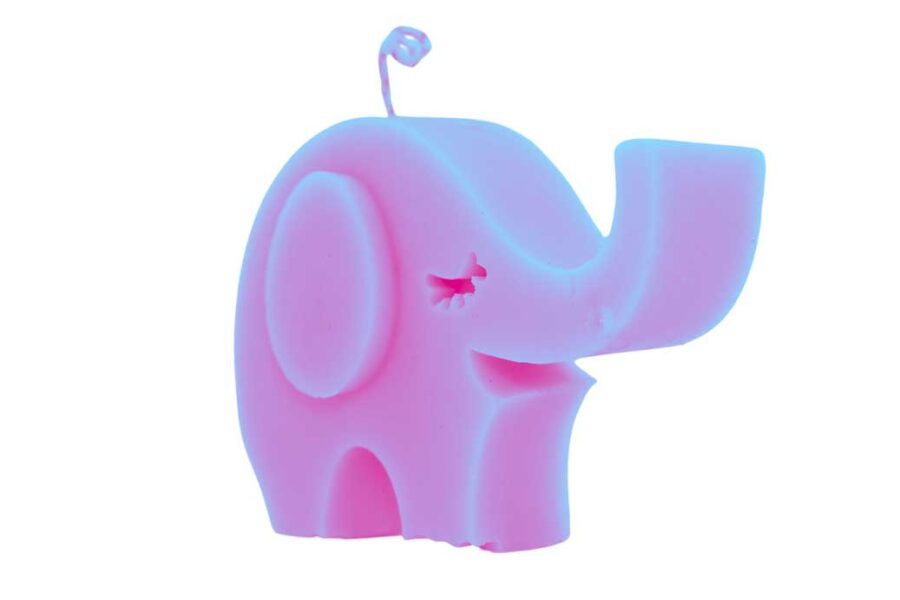 Elefante - Image 5