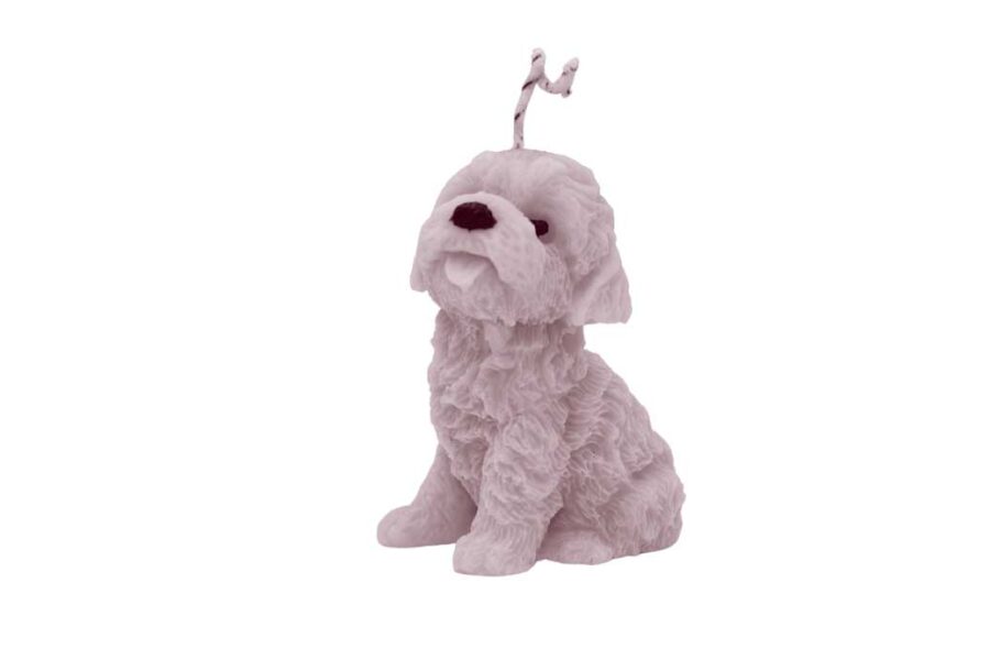 Perrito - Imagen 5