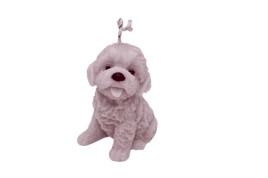 Perrito - Imagen 6