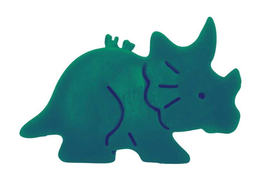 Triceratops - Image 12